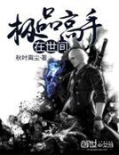 極品高手在世間