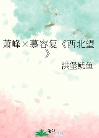 (天龍八部同人)蕭峯×慕容復《西北望